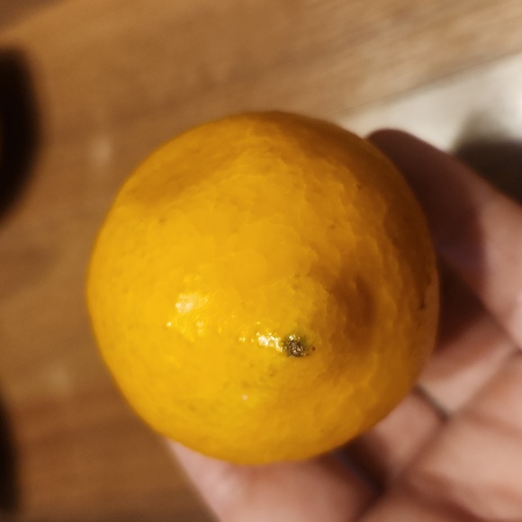 Realistic Faux Lemons, Set of Four - Picture 5 of 12